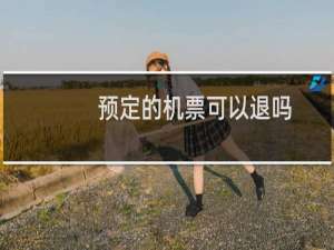 预定的机票可以退吗