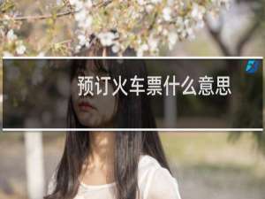 预订火车票什么意思