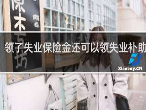 领了失业保险金还可以领失业补助金吗