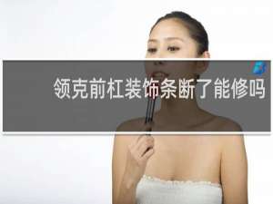 领克前杠装饰条断了能修吗