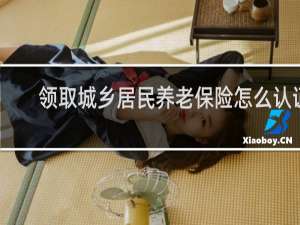 领取城乡居民养老保险怎么认证