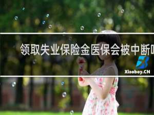 领取失业保险金医保会被中断吗