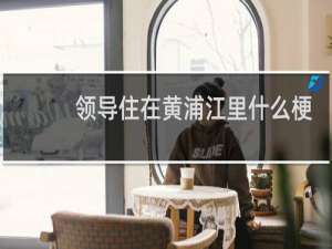 领导住在黄浦江里什么梗