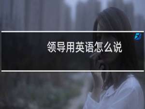 领导用英语怎么说