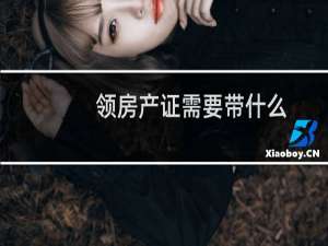 领房产证需要带什么