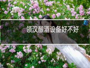 领汉酿酒设备好不好