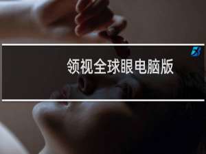 领视全球眼电脑版