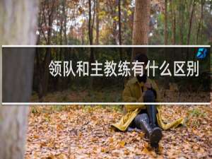 领队和主教练有什么区别