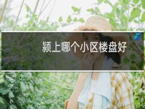 颍上哪个小区楼盘好