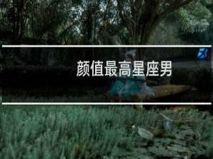 颜值最高星座男