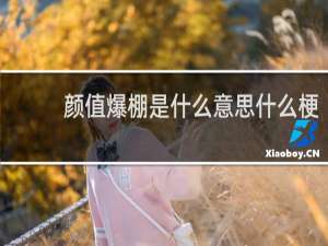 颜值爆棚是什么意思什么梗