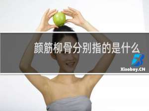 颜筋柳骨分别指的是什么