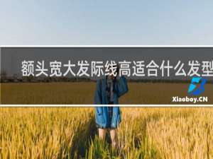 额头宽大发际线高适合什么发型男