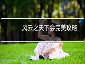 风云之天下会完美攻略