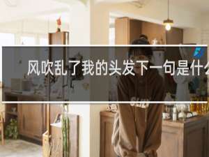 风吹乱了我的头发下一句是什么