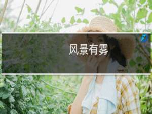 风景有雾