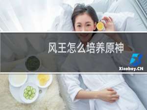 风王怎么培养原神
