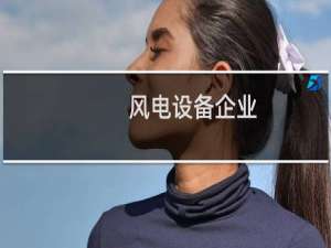 风电设备企业