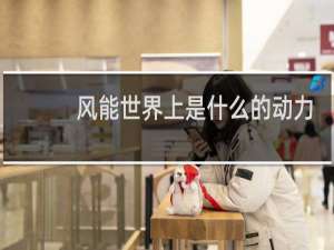 风能世界上是什么的动力