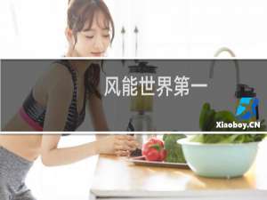 风能世界第一