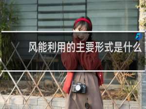 风能利用的主要形式是什么