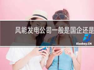 风能发电公司一般是国企还是私企啊?