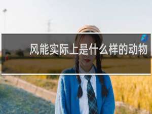 风能实际上是什么样的动物