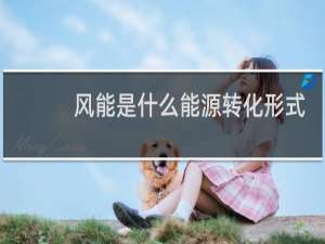 风能是什么能源转化形式