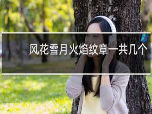 风花雪月火焰纹章一共几个