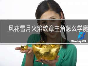 风花雪月火焰纹章主角怎么学魔法