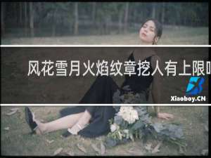 风花雪月火焰纹章挖人有上限吗