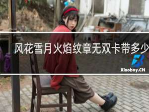 风花雪月火焰纹章无双卡带多少钱