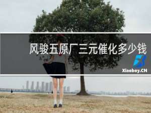 风骏五原厂三元催化多少钱