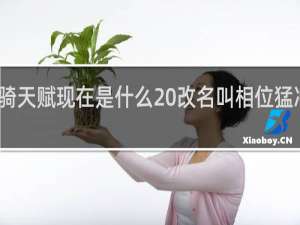 风骑天赋现在是什么 改名叫相位猛冲什么梗