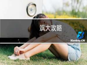 飒大攻略
