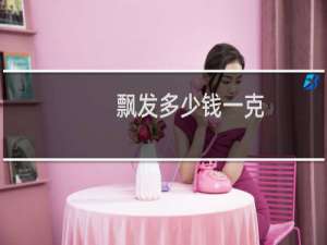 飘发多少钱一克