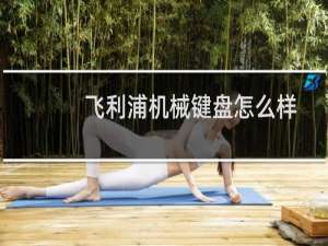 飞利浦机械键盘怎么样