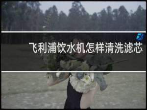 飞利浦饮水机怎样清洗滤芯