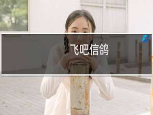 飞吧信鸽