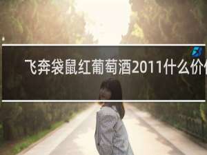 飞奔袋鼠红葡萄酒2011什么价位