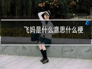 飞妈是什么意思什么梗