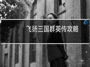 飞扬三国群英传攻略