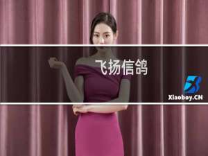 飞扬信鸽