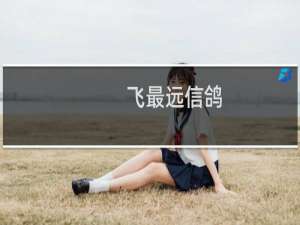 飞最远信鸽