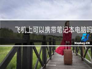 飞机上可以携带笔记本电脑吗