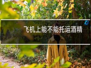 飞机上能不能托运酒精