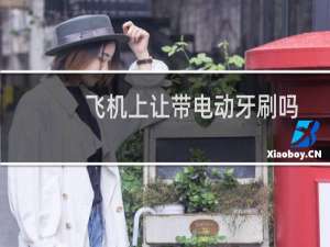 飞机上让带电动牙刷吗