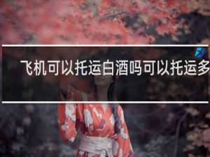 飞机可以托运白酒吗可以托运多少