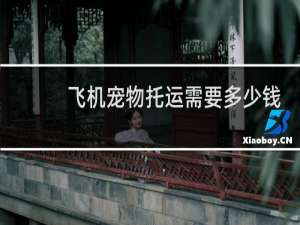 飞机宠物托运需要多少钱