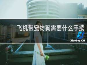 飞机带宠物狗需要什么手续